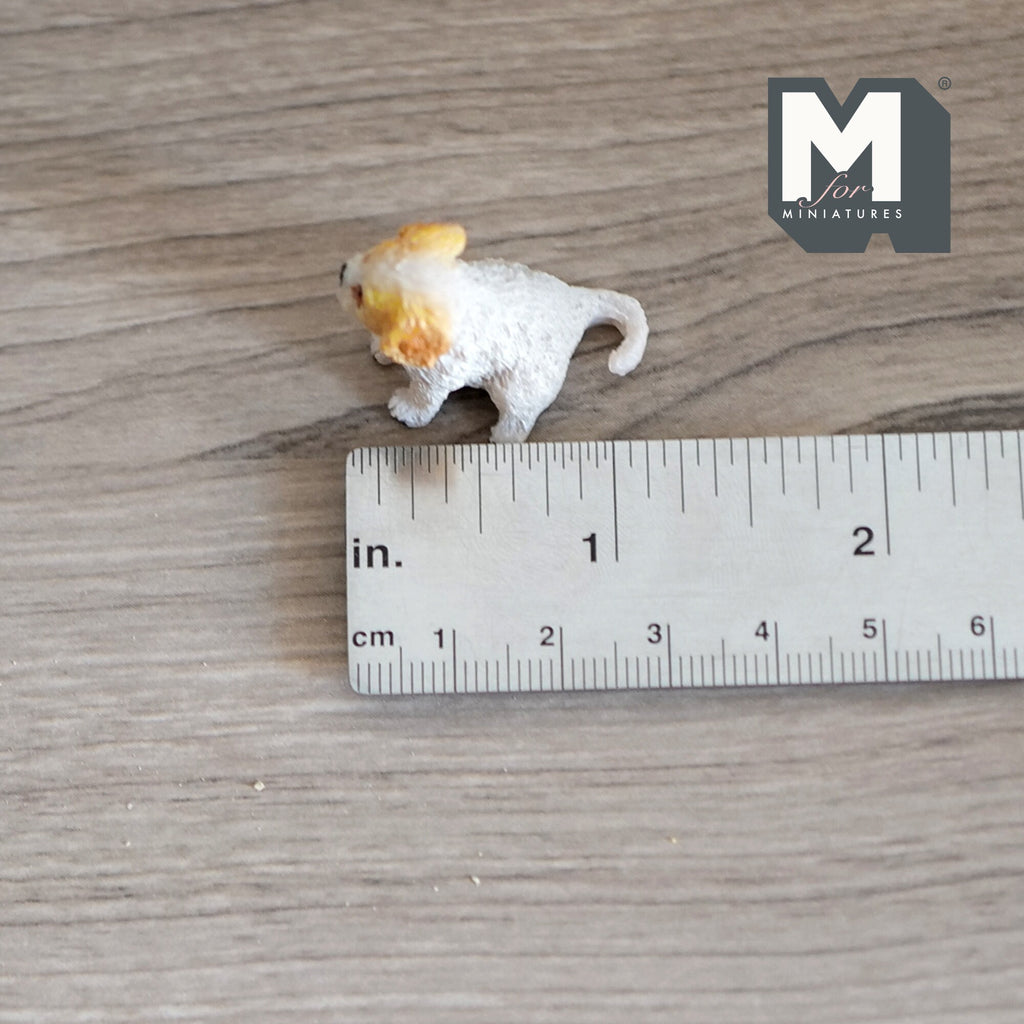 1:12 Scale Miniature Sitting Cavalier Spaniel Puppy, 15/16 inch tall, DIY Dollhouse Supply (cast resin) (white and tan)