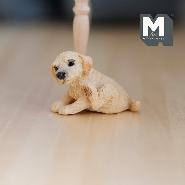 Miniature Scratching Labrador Puppy 1:12 Scale Diorama Dog 13/16 inch tall (cast resin) (beige) -H046