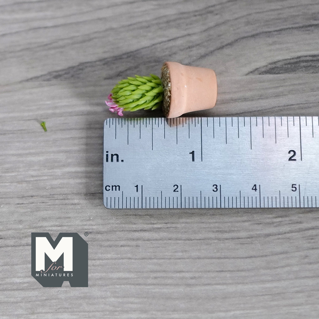 Miniature Cactus in Round Clay Pot 1:12 Scale Dollhouse Garden Flowers and Leaves (Short) - H033