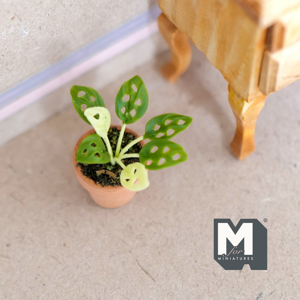 1:12 Scale Miniature Potted Perforated Leaf Plant in Clay Pot, 1-1/2 inch tall, DIY Dollhouse Supply