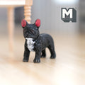 1:12 scale miniature cast resin standing French bulldog puppy in black with white chest and pink ears, on a wood floor