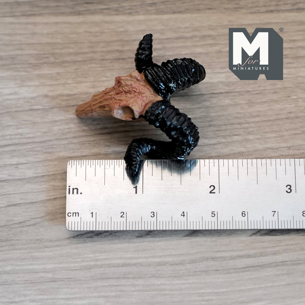 1:12 Scale Miniature Ram Skull, Curled Horns, 1-11/16 inch wide, DIY Dollhouse Supply (cast resin) (brown and black)
