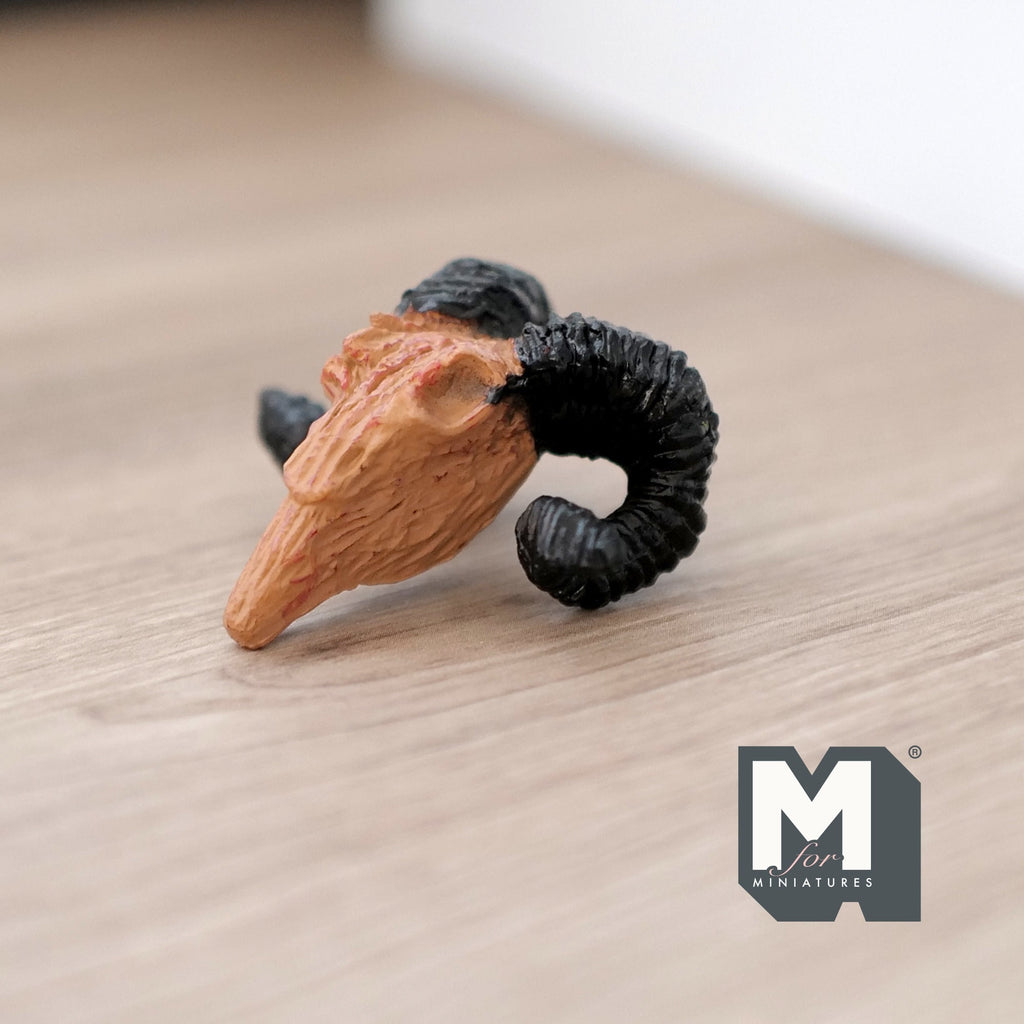 1:12 Scale Miniature Ram Skull, Curled Horns, 1-11/16 inch wide, DIY Dollhouse Supply (cast resin) (brown and black)