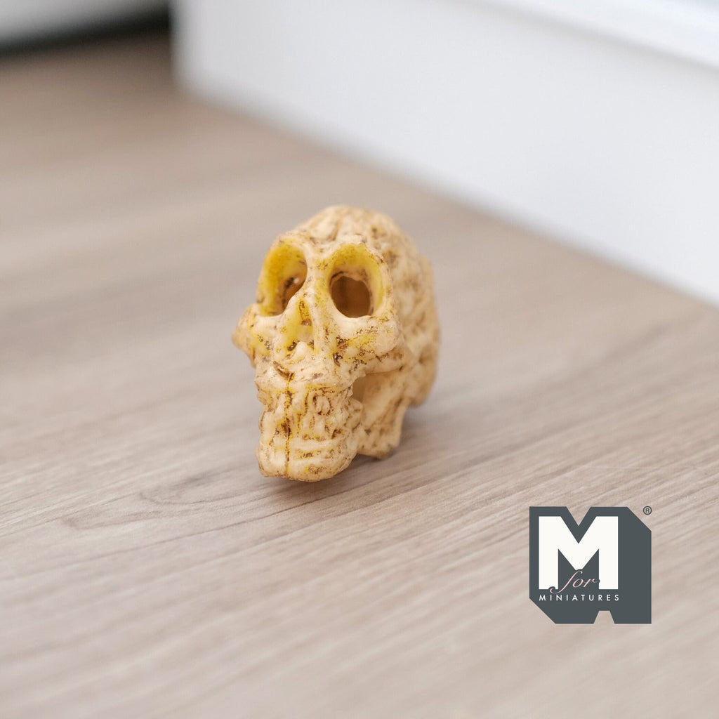 1:12 Scale Miniature Ape Skull, Textured Bone Surface, 1-5/16 inch tall, DIY Dollhouse Supply (cast resin) (beige)