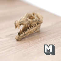 Miniature Crocodile Alligator Skull Dollhouse Decoration 2-3/16 inch long (cast resin) (brown) - H050