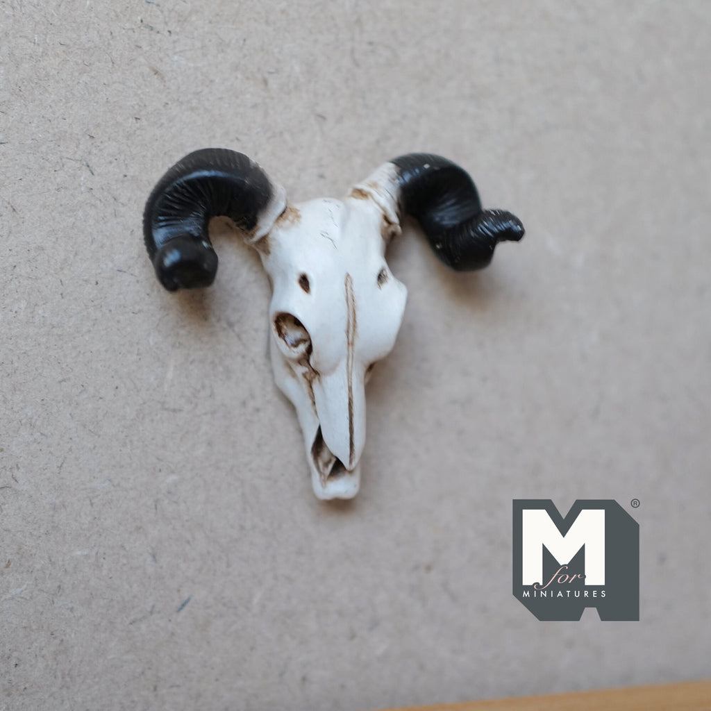 1:12 Scale Miniature Ram Skull Wall Decor, Curled Horns, 11/16 inch wide, DIY Dollhouse Supply (cast resin) (white and black)