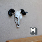 1:12 scale miniature cast resin ram skull wall decor in white with curled black horns, shown mounted on a wall