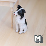 Miniature Border Collie 1:12 Scale Detailed White and Black Dog 2-3/16 inch tall (cast resin) - H046