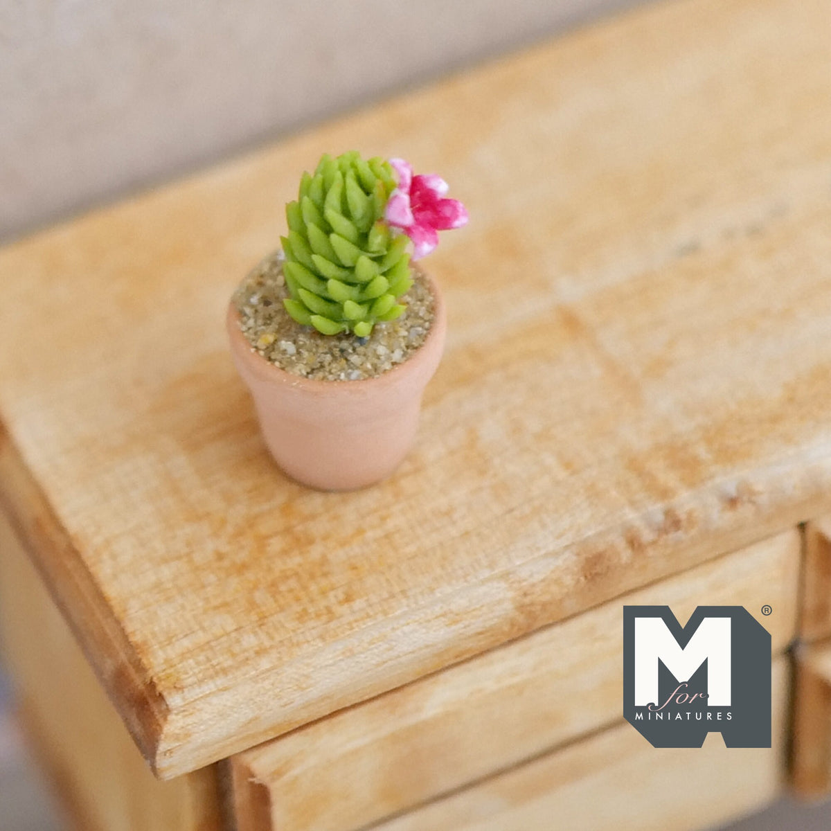 Miniature Cactus in Round Clay Pot 1:12 Scale Dollhouse Garden Flowers and Leaves (Short) - H033