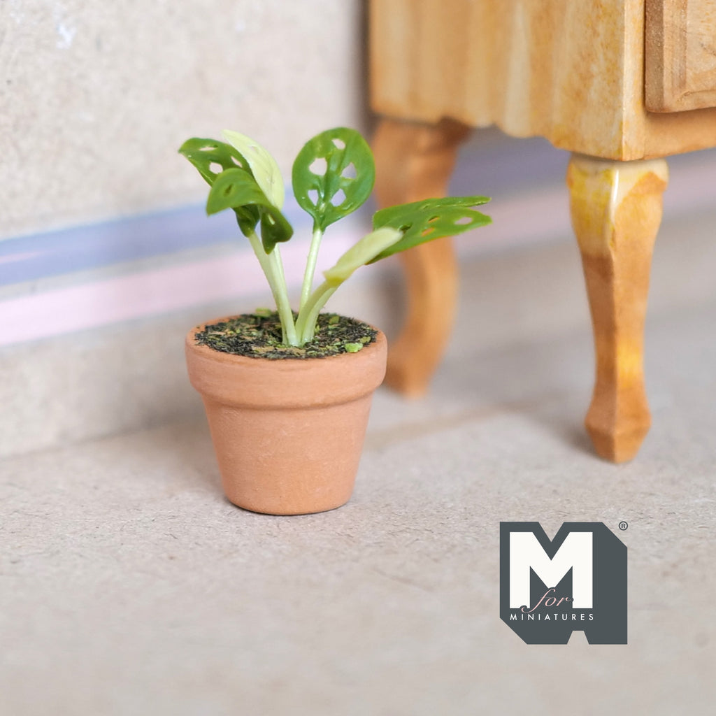 1:12 Scale Miniature Potted Perforated Leaf Plant in Clay Pot, 1-1/2 inch tall, DIY Dollhouse Supply