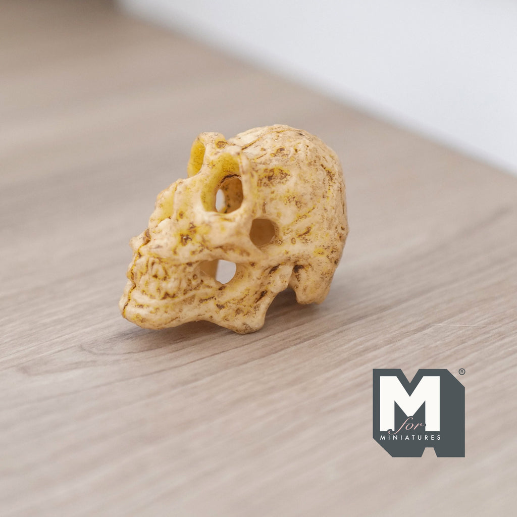 1:12 Scale Miniature Ape Skull, Textured Bone Surface, 1-5/16 inch tall, DIY Dollhouse Supply (cast resin) (beige)