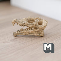 Miniature Crocodile Alligator Skull Dollhouse Decoration 2-3/16 inch long (cast resin) (brown) - H050