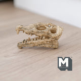 Miniature Crocodile Alligator Skull Dollhouse Decoration 2-3/16 inch long (cast resin) (brown) - H050