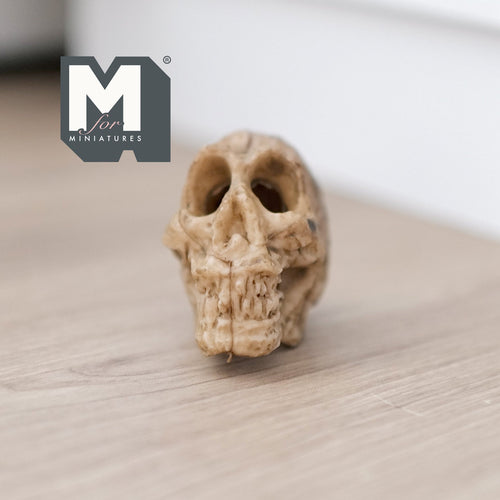 1:12 Scale Miniature Ape Skull, Textured Bone Surface, 1-5/16 inch tall, DIY Dollhouse Supply (cast resin) (brown)