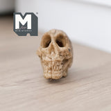 Miniature Ape Skull Dollhouse Supplies Decoration 1-5/16 inch tall (cast resin) (brown) - H050