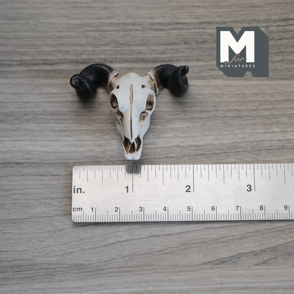 1:12 Scale Miniature Ram Skull Wall Decor, Curled Horns, 11/16 inch wide, DIY Dollhouse Supply (cast resin) (white and black)