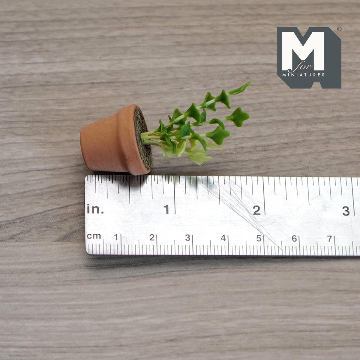 1:12 Scale Miniature Potted Leafy Plant in Clay Pot, Upright Stems, 2 inch tall, DIY Dollhouse Supply (green)