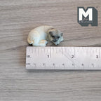 1/12スケール ミニチュア 眠るパグのフィギュア、長さ約3.7cm（1-7/16インチ）、ドールハウス用DIY素材（キャスト樹脂製）（ベージュ）