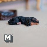 Miniature Sleeping Dachshund 1:12 Scale Wiener Dog 1-15/16 inch long (cast resin) (black) - C054