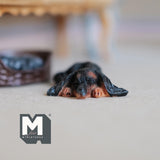 Miniature Sleeping Dachshund 1:12 Scale Wiener Dog 1-15/16 inch long (cast resin) (black) - C054