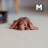 Miniature Sleeping Longhair Dachshund 1:12 Scale Wiener Dog 1-15/16 inch long (cast resin) (brown) - C052