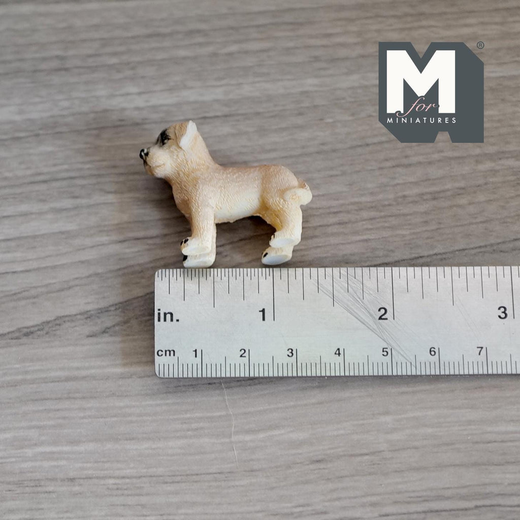 1:12 Scale Miniature Standing Labrador Puppy, 1-1/4 inch tall, DIY Dollhouse Supply (cast resin) (cream)
