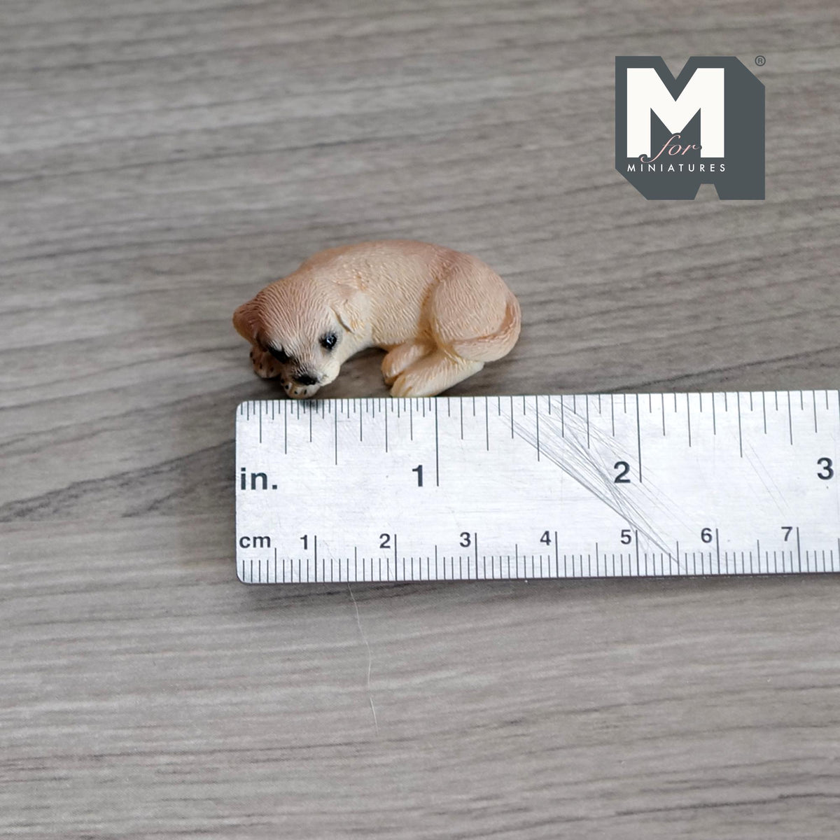 1:12 Scale Miniature Sleeping Labrador Puppy, 1-7/16 inch long, DIY Dollhouse Supply (cast resin) (cream)