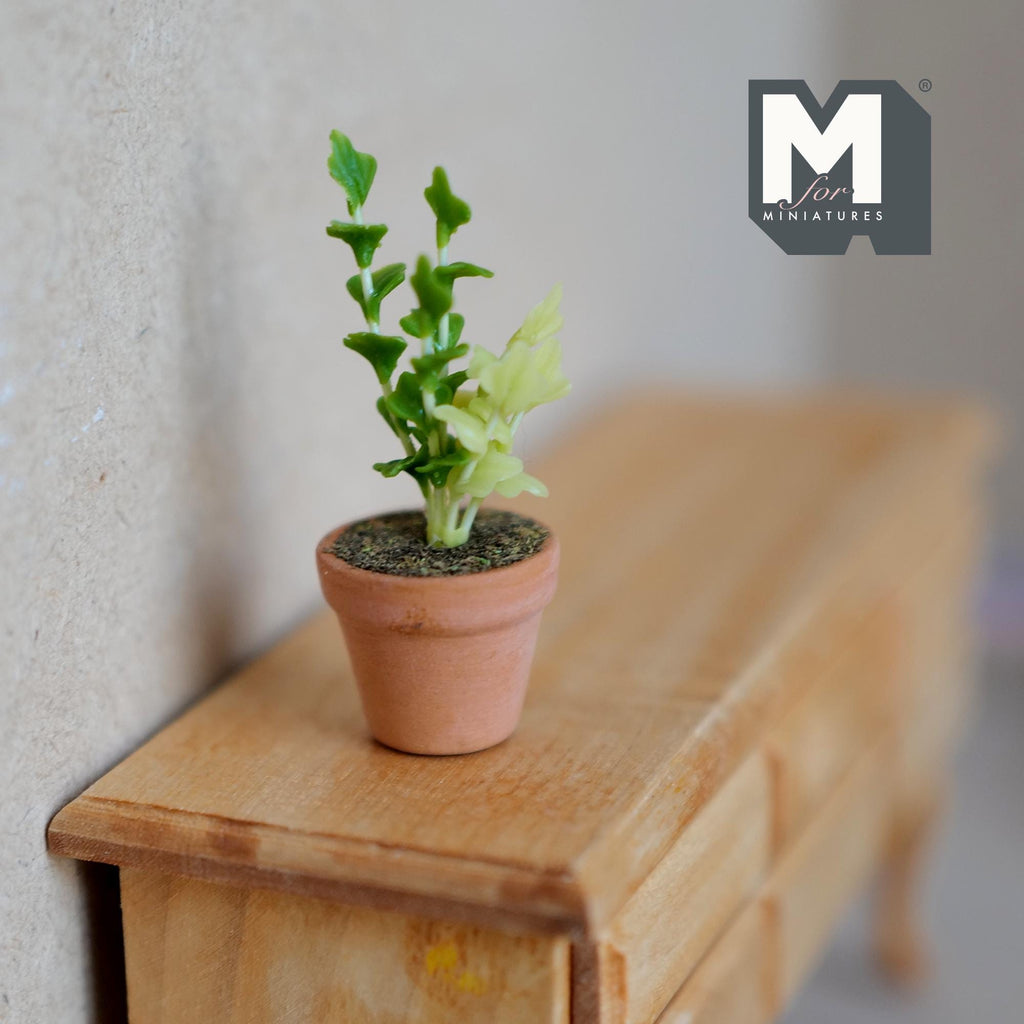 1:12 scale miniature potted leafy plant in clay pot, green upright stems, shown on a wood cabinet
