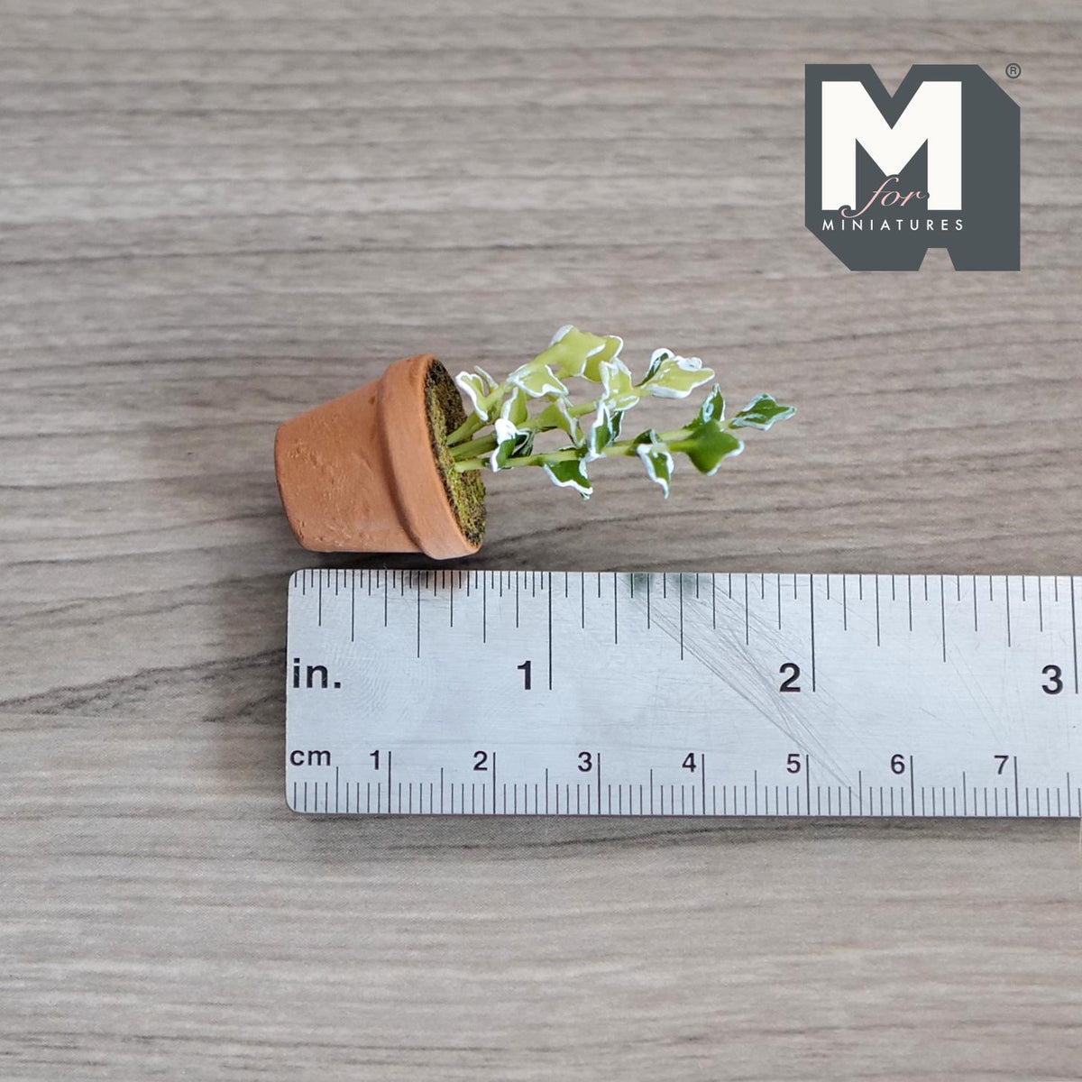 1:12 Scale Miniature Potted Ivy Plant on Stake, Variegated Leaves, Terracotta Pot, 1-3/4 inch tall, DIY Dollhouse Supply