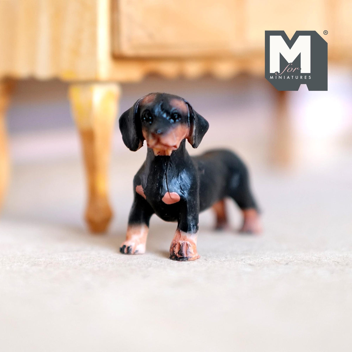 Miniature Standing Dachshund 1:12 Scale Weiner Dog 2-3/16 inch long (cast resin) (black and brown) - C055