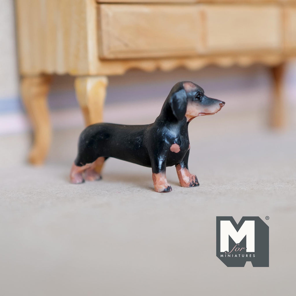 Miniature Standing Dachshund 1:12 Scale Weiner Dog 2-3/16 inch long (cast resin) (black and brown) - C055