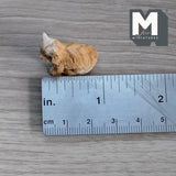 Miniature Orange Cat 1:12 Scale Dollhouse Supplies Animal Kitty Cat (cast resin) (orange) - C058