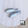 Miniature Fish Set of 2 , 1:12 Scale Miniature Fish 1-3/16 inch long (Fake miniature) - E026