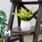 1:12 scale miniature grass plant with green and yellow leaves in a white round pot, shown on a dark wood plant stand