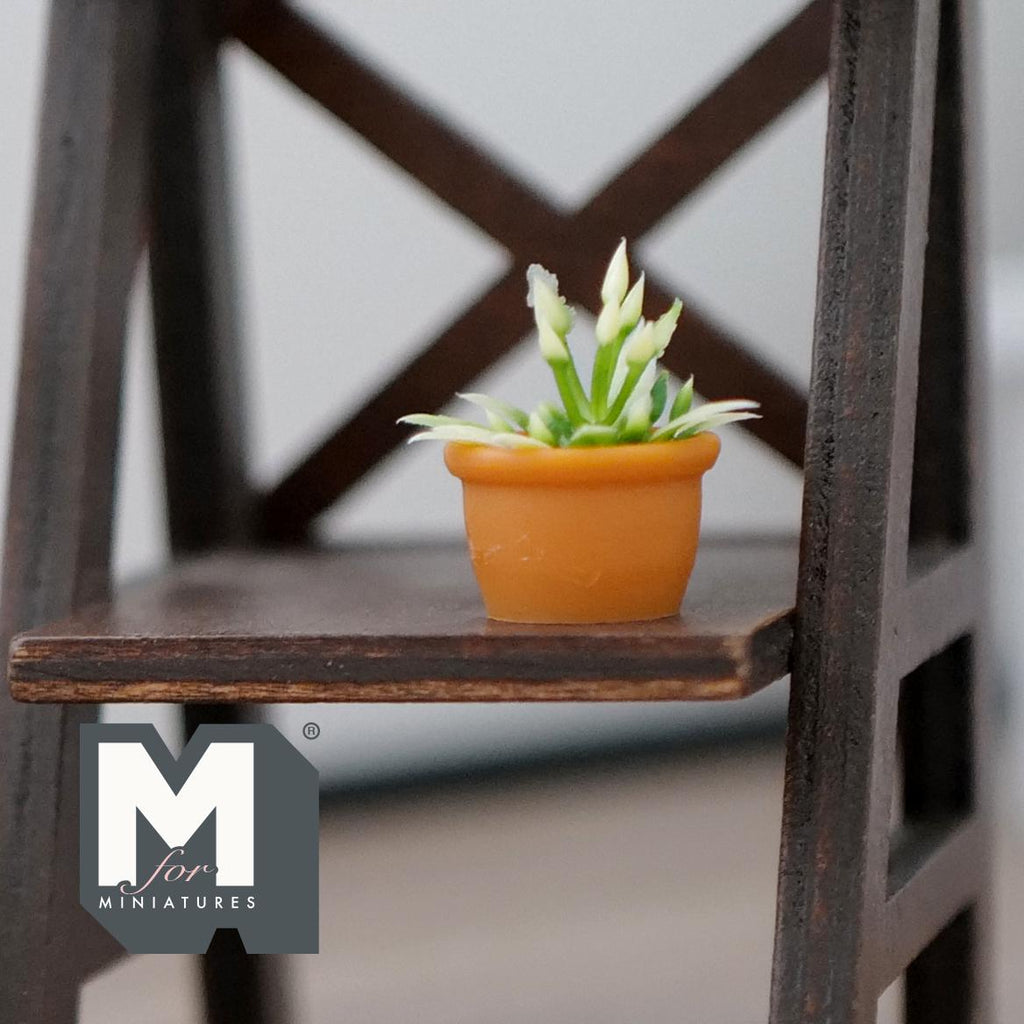 Plante succulente miniature à l'échelle 1:12 dans un pot en terre cuite, feuilles panachées, 2,2 cm de haut, accessoire pour maison de poupée DIY