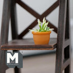 Plante succulente miniature à l'échelle 1:12 dans un pot en terre cuite, feuilles panachées, 2,2 cm de haut, accessoire pour maison de poupée DIY