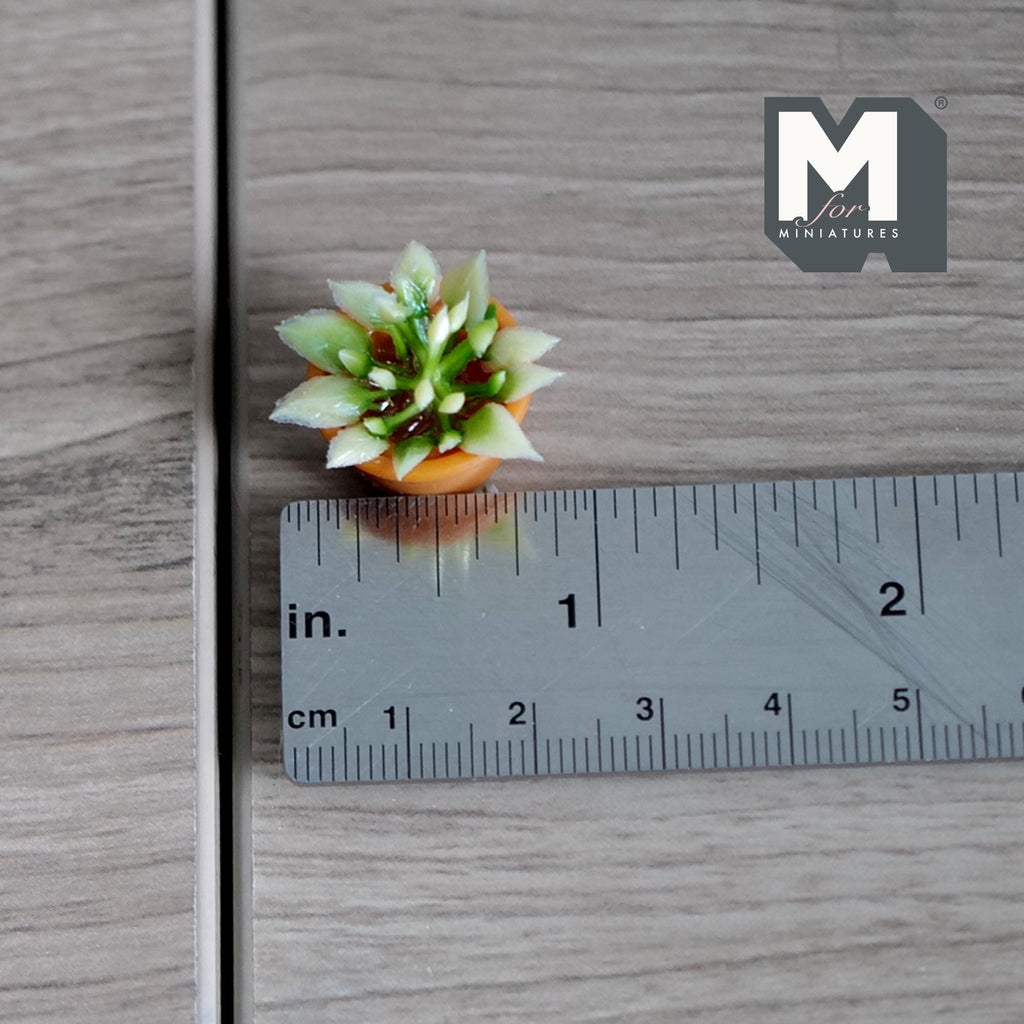 Plante succulente miniature à l'échelle 1:12 dans un pot en terre cuite, feuilles panachées, 2,2 cm de haut, accessoire pour maison de poupée DIY