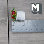 1:12 Scale Miniature Potted Flowering Plant, Round Pot, 1-1/8 inch tall, DIY Dollhouse Supply (red)