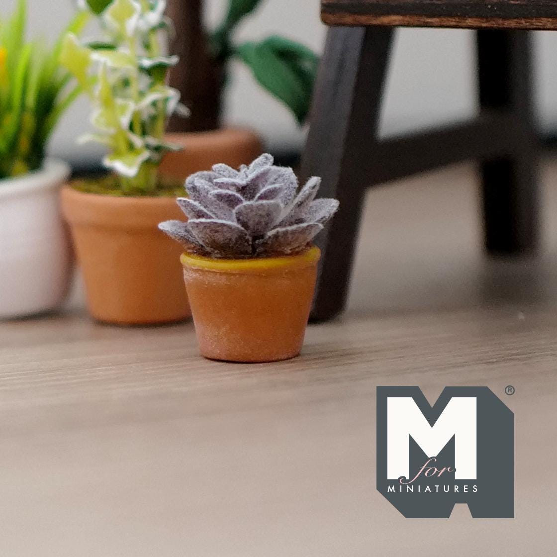 1:12 Scale Miniature Succulent Plant in Pot, Rosette, 7/8 inch tall, DIY Dollhouse Supply (purple)