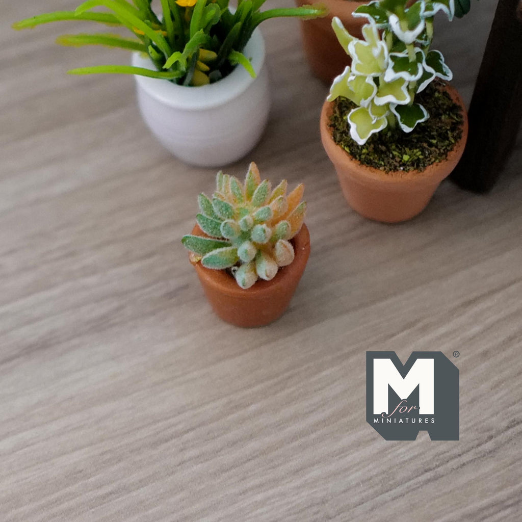 1:12 Scale Miniature Succulent Plant in Terracotta Pot, 7/8 inch tall, DIY Dollhouse Supply (yellow green)