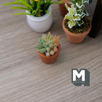 1:12 Scale Miniature Succulent Plant in Terracotta Pot, 7/8 inch tall, DIY Dollhouse Supply (yellow green)