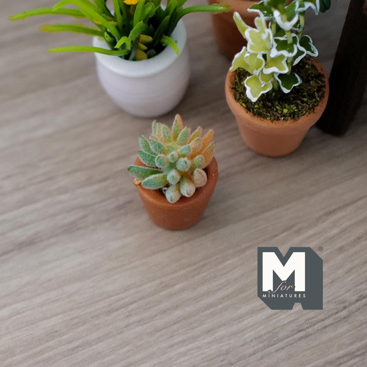 1:12 Scale Miniature Succulent Plant in Terracotta Pot, 7/8 inch tall, DIY Dollhouse Supply (yellow green)