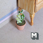 1:12 Scale Miniature Potted Ivy Plant on Stake, Variegated Leaves, Terracotta Pot, 1-3/4 inch tall, DIY Dollhouse Supply