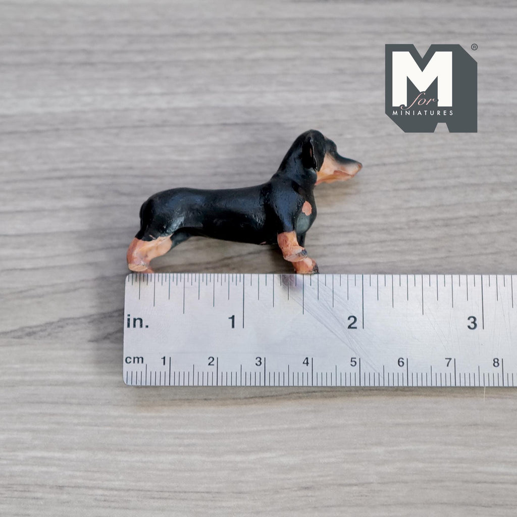Miniature Standing Dachshund 1:12 Scale Weiner Dog 2-3/16 inch long (cast resin) (black and brown) - C055