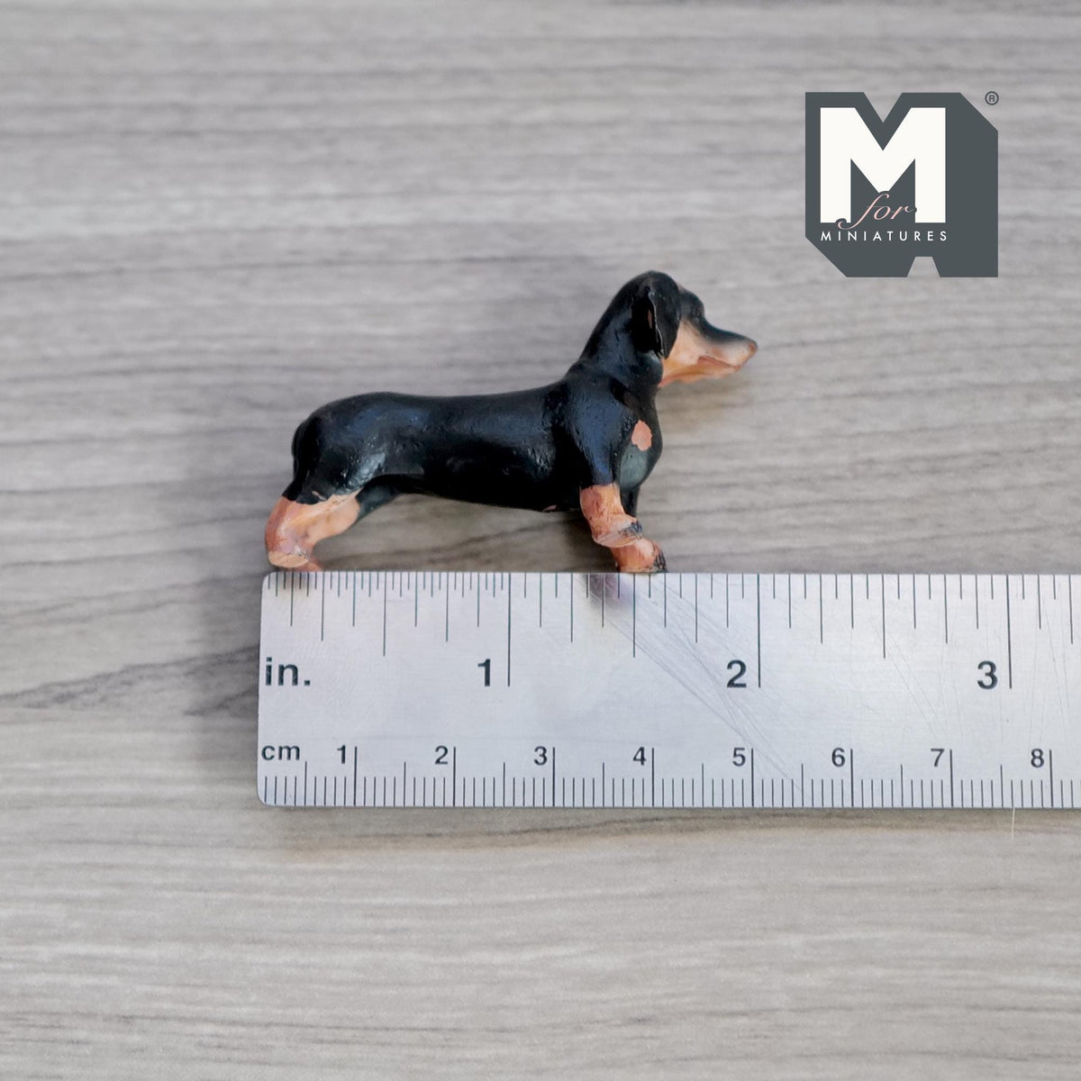 Miniature Standing Dachshund 1:12 Scale Weiner Dog 2-3/16 inch long (cast resin) (black and brown) - C055