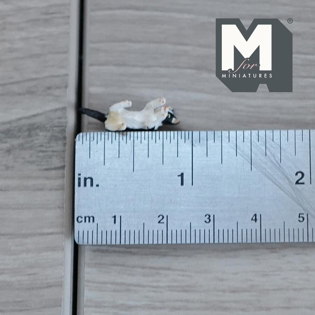 Miniature Cuddling Kitten Up Side Down 1:12 Scale Dollhouse Cat 7/8 inch long (resin) (A) - C048