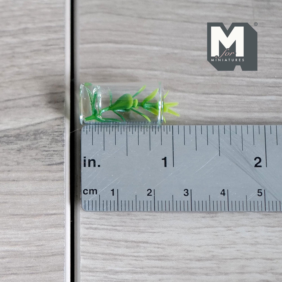 1:12 Scale Miniature Leafy Plant Cutting in Glass of Water, 1-1/16 inch tall, DIY Dollhouse Supply (green)