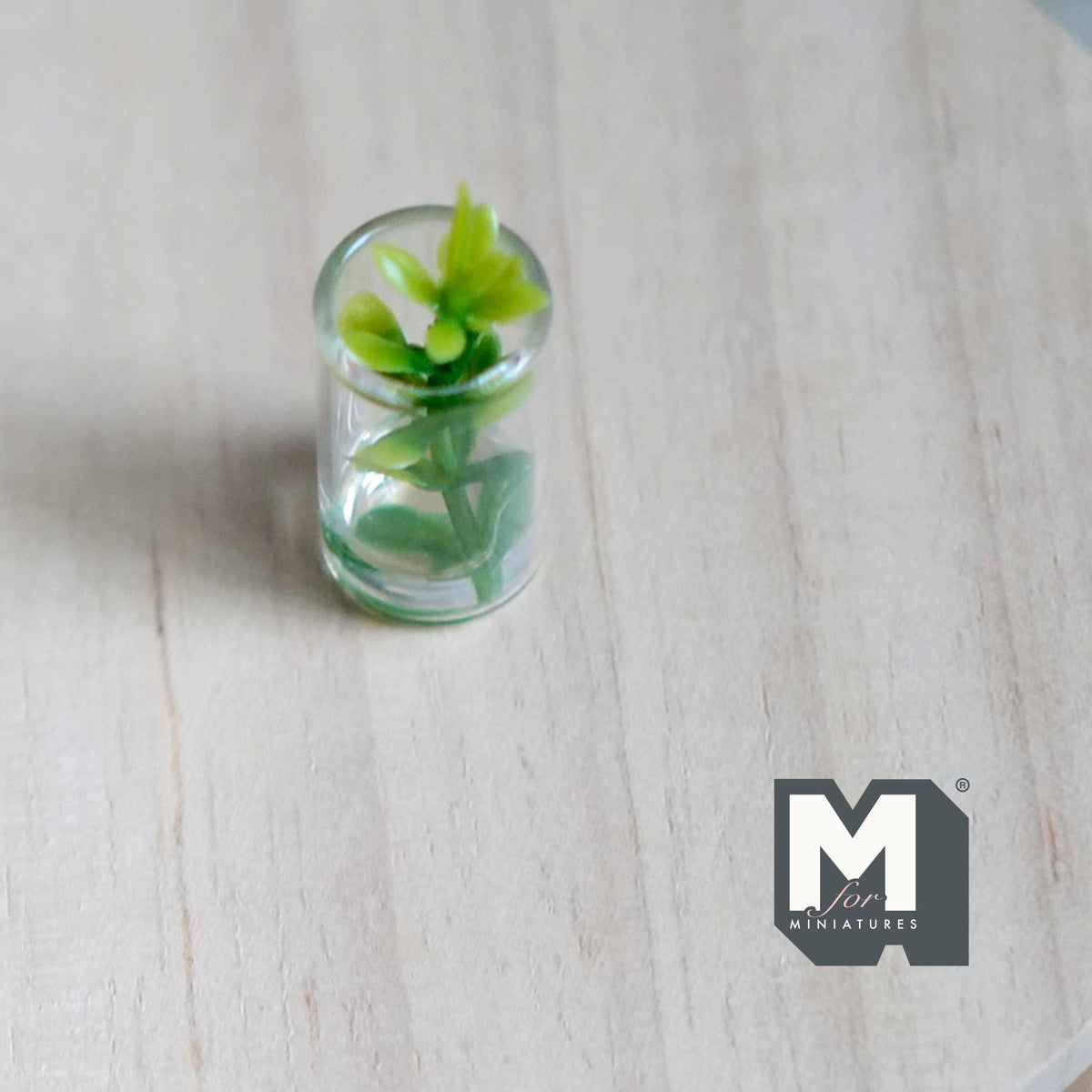 1:12 Scale Miniature Leafy Plant Cutting in Glass of Water, 1-1/16 inch tall, DIY Dollhouse Supply (green)