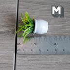 1:12 Scale Miniature Grass Plant in Round Pot, 1-5/8 inch tall, DIY Dollhouse Supply (white)