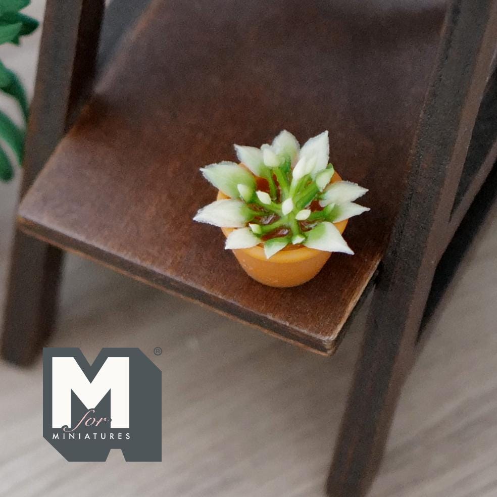 1:12 Scale Miniature Succulent Plant in Terracotta Pot, Variegated Leaves, 7/8 inch tall, DIY Dollhouse Supply
